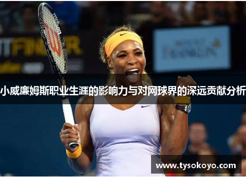 小威廉姆斯职业生涯的影响力与对网球界的深远贡献分析
